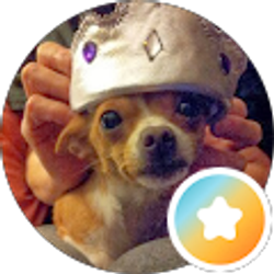 Profile photo of Tracy Maynes