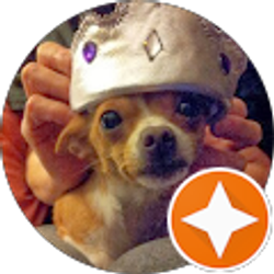 Profile photo of Tracy Maynes