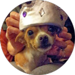 Profile photo of Tracy Maynes