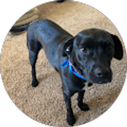 Profile photo of Scott Cates