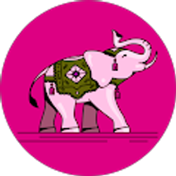 Profile photo of Gracie Wilcox