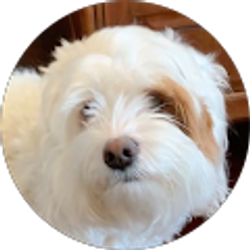 Profile photo of Noxy1x