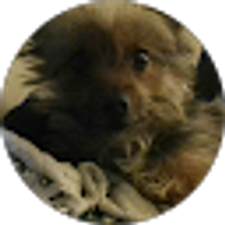 Profile photo of Dorienne Ector