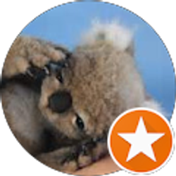 Profile photo of Thomas Dolby