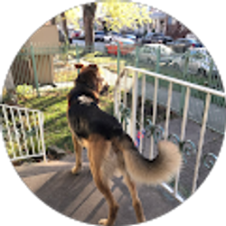 Profile photo of edgar hernandez