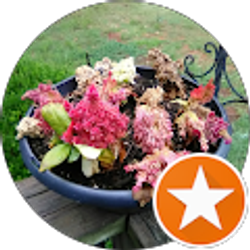 Profile photo of S M