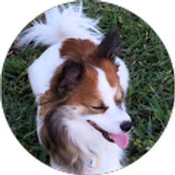 Profile photo of Margaret Bagley