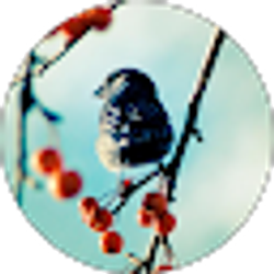 Profile photo of Ward Cochran
