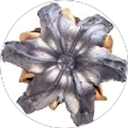 Profile photo of Robert Little