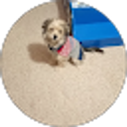 Profile photo of Mieasha Walker