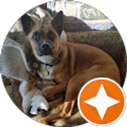 Profile photo of Miranda Reeves