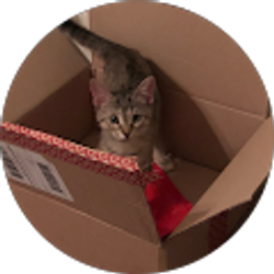 Profile photo of Ellen Zelaya