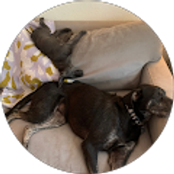 Profile photo of Robert Vick