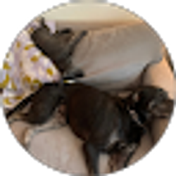 Profile photo of Robert Vick