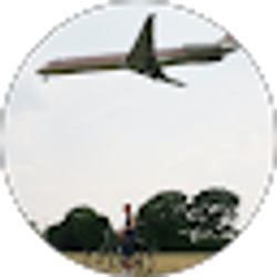 Profile photo of Frank Ng