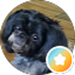 Profile photo of Anthony Misner