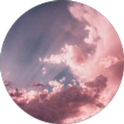 Profile photo of Ilaka Mcclain