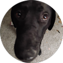 Profile photo of Max Wensell