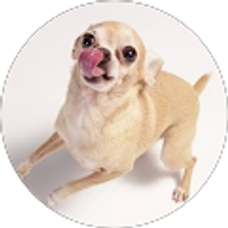 Profile photo of Linda P