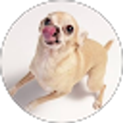 Profile photo of Linda P