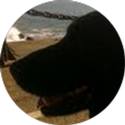 Profile photo of Mona Soo Hoo