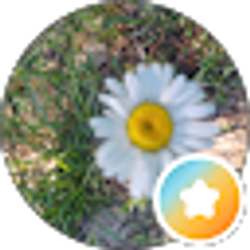 Profile photo of JoYcE MaRiE