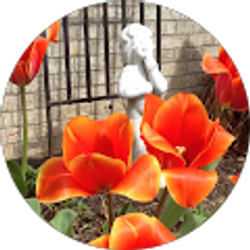 Profile photo of R Goss