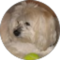 Profile photo of Nicole