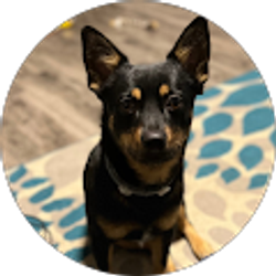 Profile photo of Stephanie