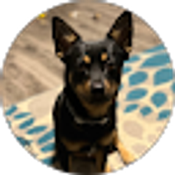 Profile photo of Stephanie