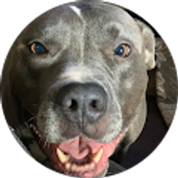 Profile photo of Phyllis Hughes