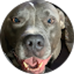 Profile photo of Phyllis Hughes