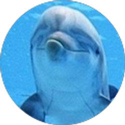 Profile photo of Dawn Lins