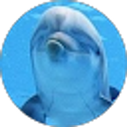 Profile photo of Dawn Lins
