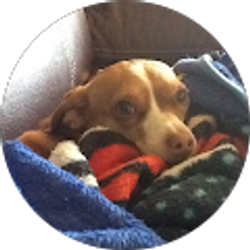 Profile photo of Linda d