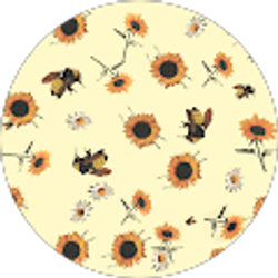 Profile photo of EHompy 777