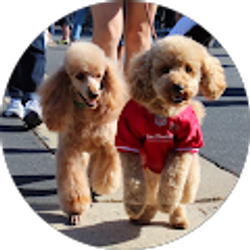 Profile photo of Karen Hitzelberger