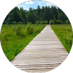 Profile photo of Nicole Ripley