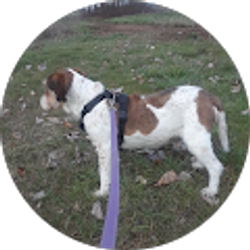 Profile photo of Kathy Johnsen