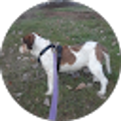 Profile photo of Kathy Johnsen