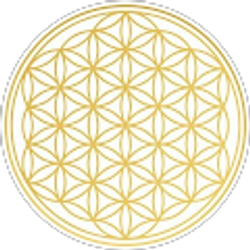 Profile photo of m33