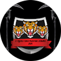 Profile photo of 3 TIGERS CONSTRUCTION SERVICE