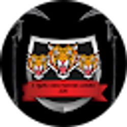 Profile photo of 3 TIGERS CONSTRUCTION SERVICE