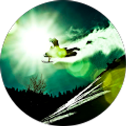 Profile photo of Todd Williams