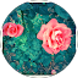 Profile photo of Daisy Wilken