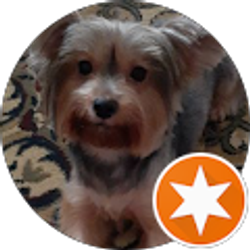 Profile photo of Annett Gutman