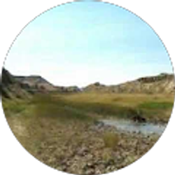 Profile photo of Stacy Smith