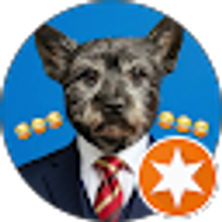 Profile photo of Donna Yumiko Tsang