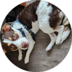 Profile photo of Heather