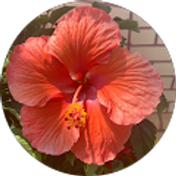 Profile photo of Reina Cardona